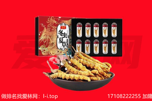 抚宁区回收虫草.jpg